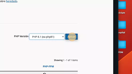 versión de php seleccionada